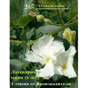 Лагенария мини