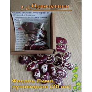 Фасоль лимская