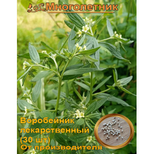 Воробейник лекарственный, кукушкины слезки