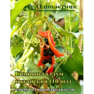 Гимнопеталум китайский